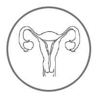ZytoDot Probes - Cervical Cancer