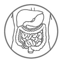 ZytoLight Probes - Gastrointestinal Cancer
