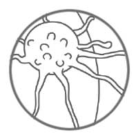 ZytoDot Probes - Sarcomas
