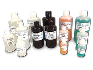 ImmunoDetector Biotin Blocker MAIN