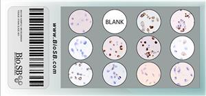 11-Core Breast Cancer Cell Line Microarray MAIN