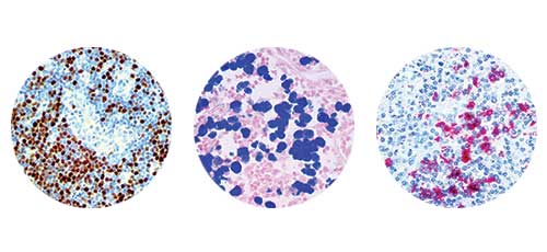 Substrate Chromogens