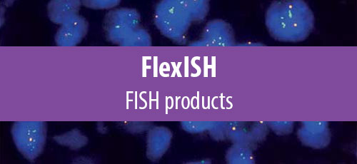 ZytoLight (FlexISH)