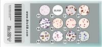 11-Core Immunotherapy Cell Line Microarray MAIN