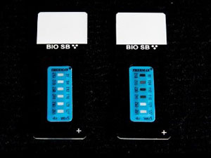 TintoRetriever Slide Thermometers, Pack of 5 MAIN