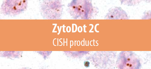 ZytoDot (CISH)
