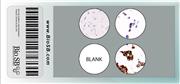 3-Core Neuroblastoma Cell Line Microarray THUMBNAIL