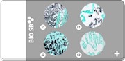 Fungus: Aspergillus, Candida, Histoplasma TMA, Artificial (4-core), 5 slides THUMBNAIL