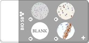 3-core ROS1 Cell Line Microarray, 5 slides THUMBNAIL