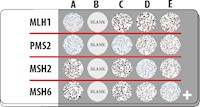 4-core MMR Cell Line Microarray, 5 slides MAIN