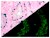 p63 (EP174), RMab SWATCH