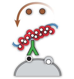 Complete PolyDetector Kits