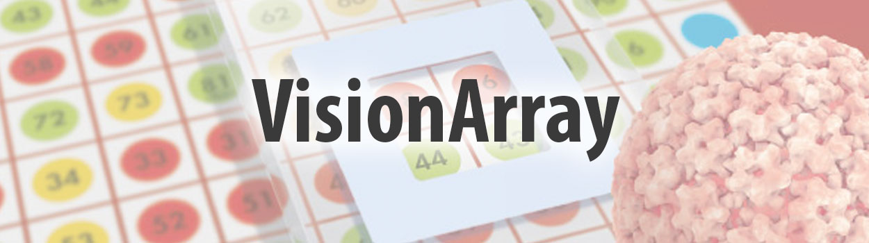 VisionArray