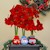 Holiday Sweaters - Waxed Amaryllis (3 Bulbs) SWATCH