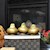 Gold Lux - Waxed Amaryllis (3 Bulbs) SWATCH