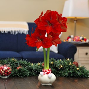 Marshmallow Sash - Specialty (1 Bulb) LARGE