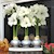 Silver Lux White - Specialty (3 Bulbs) SWATCH