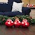 Berry Red Sash - Specialty (3 Bulbs) SWATCH
