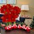 Berry Red Sash - Specialty (6 Bulbs) SWATCH