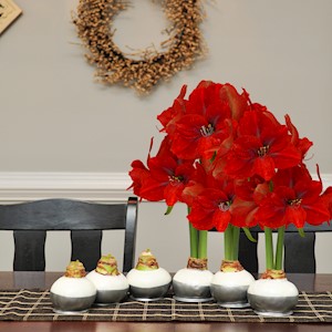 Tinsel Whisper - Specialty (6 Bulbs) LARGE