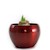 B2B Red Metal Amaryllis Bulb Kit SWATCH