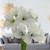 Silver Lux White - Specialty (3 Bulbs) SWATCH