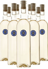 May Case Sale - 2023 Baby Blue Blanc MAIN