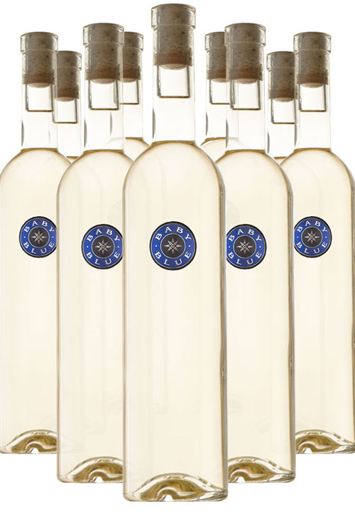 Case of 2021 Baby Blue Blanc LARGE