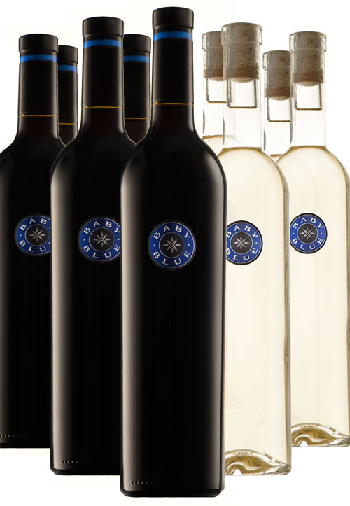 Mixed Case - 2019 Baby Blue & 2021 Baby Blue Blanc LARGE