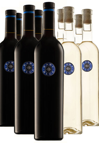Mixed Case - 2019 Baby Blue & 2021 Baby Blue Blanc THUMBNAIL