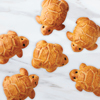 NEW!! Sourdough Baby Turtles (6) #785 MAIN