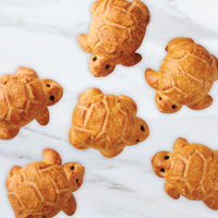 NEW!! Sourdough Baby Turtles (6) #785 THUMBNAIL