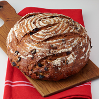 Cranberry Ginger Walnut Bread (2) #708 THUMBNAIL