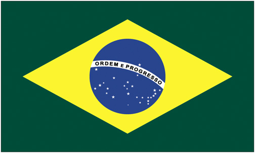 <big>Brazil Flag</font></big> MAIN