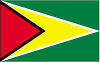 Guyana Flag MAIN