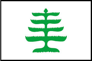 <big>Pine Tree  Flag</font></big> MAIN