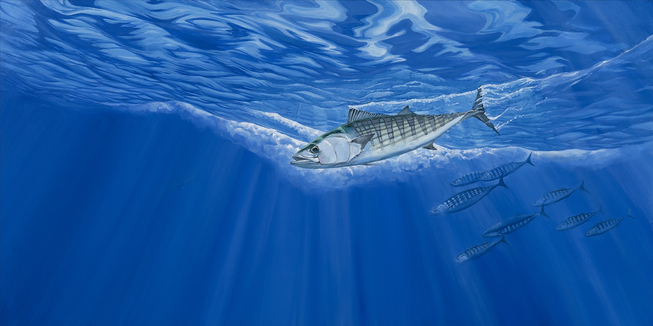 Art Print - Bonito LARGE