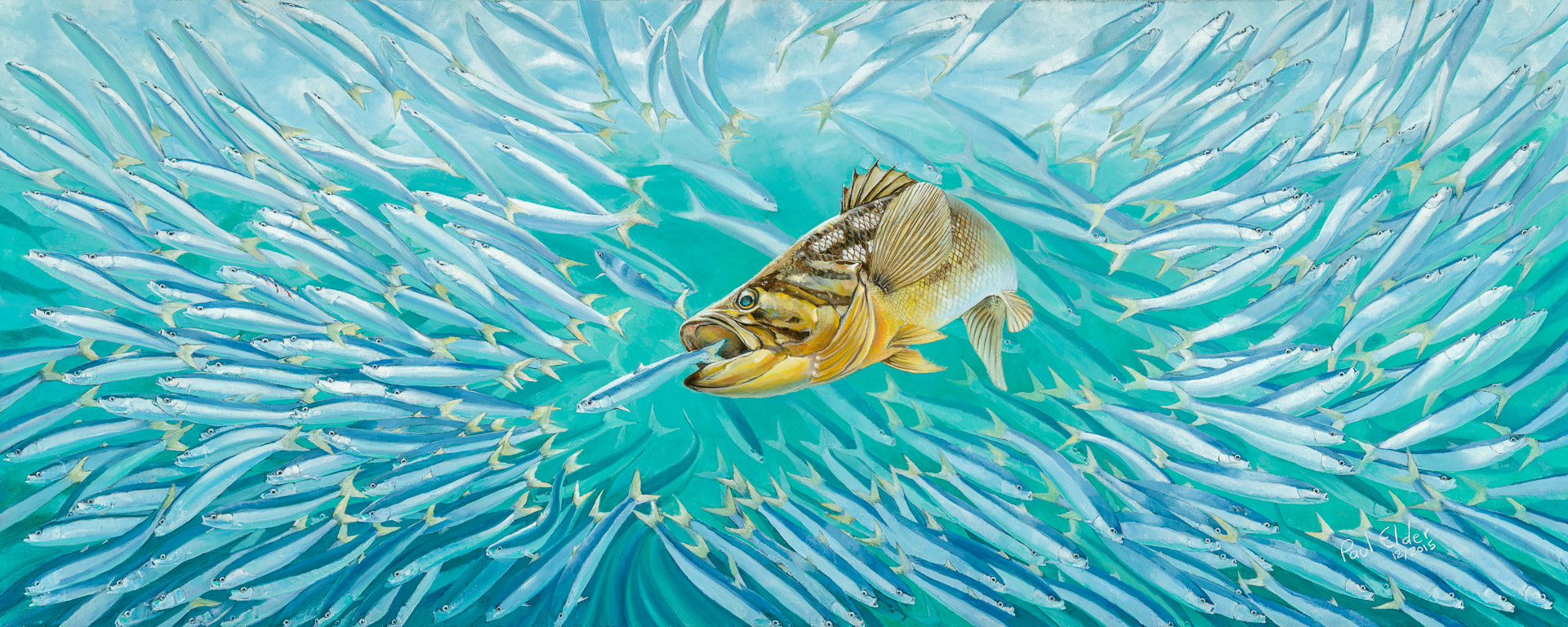 Art Print - Calico (California Amber) LARGE
