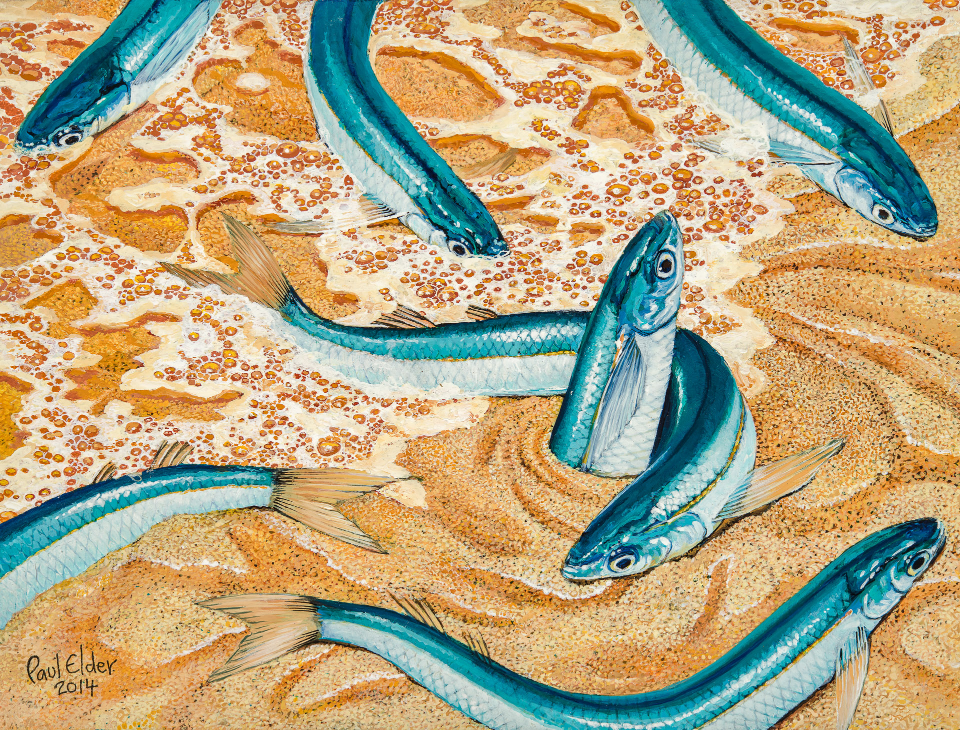 Art Print - Grunion THUMBNAIL