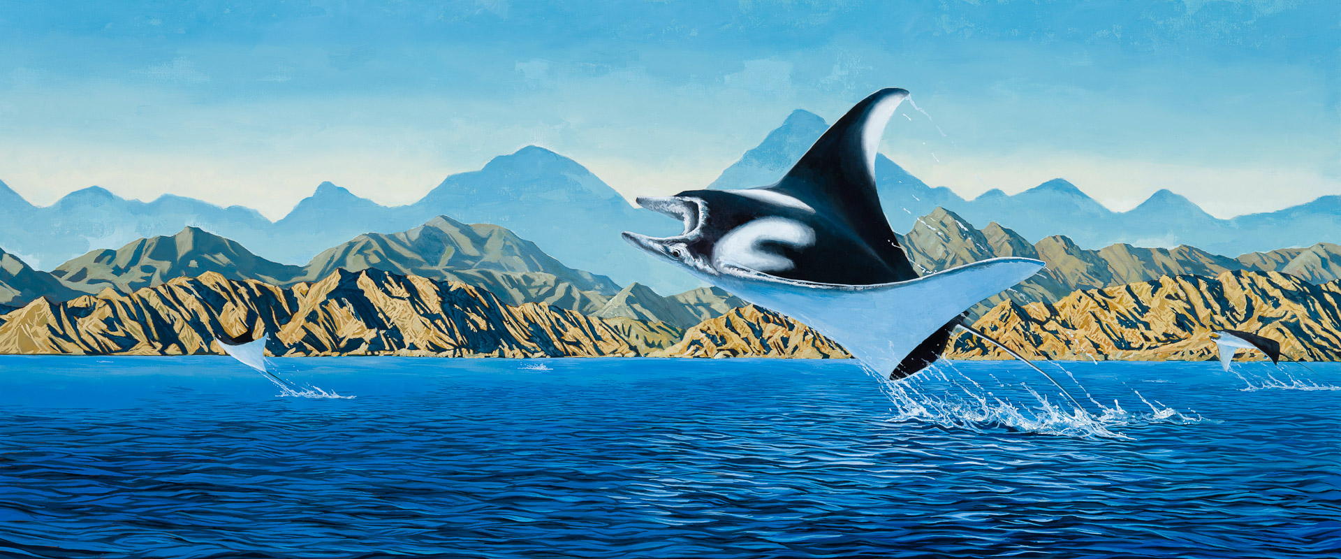 Art Print - Manta Ray THUMBNAIL