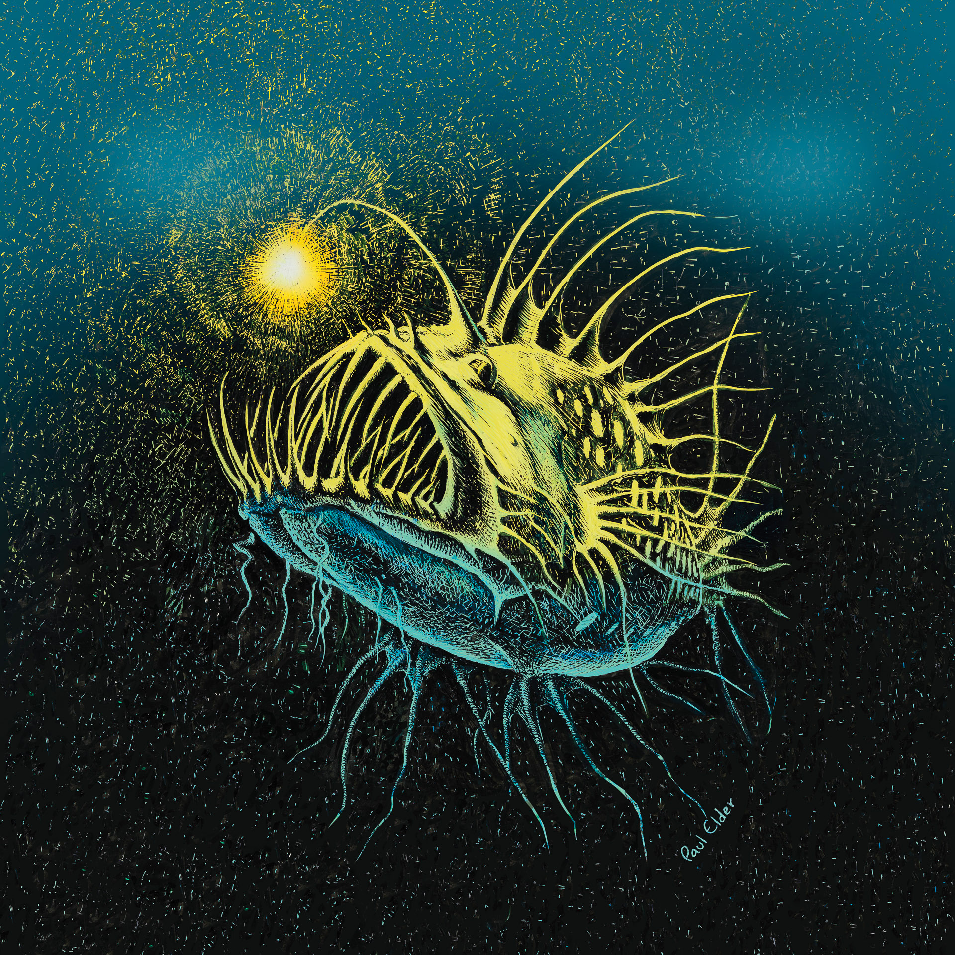 Art Print - Sea Monster THUMBNAIL