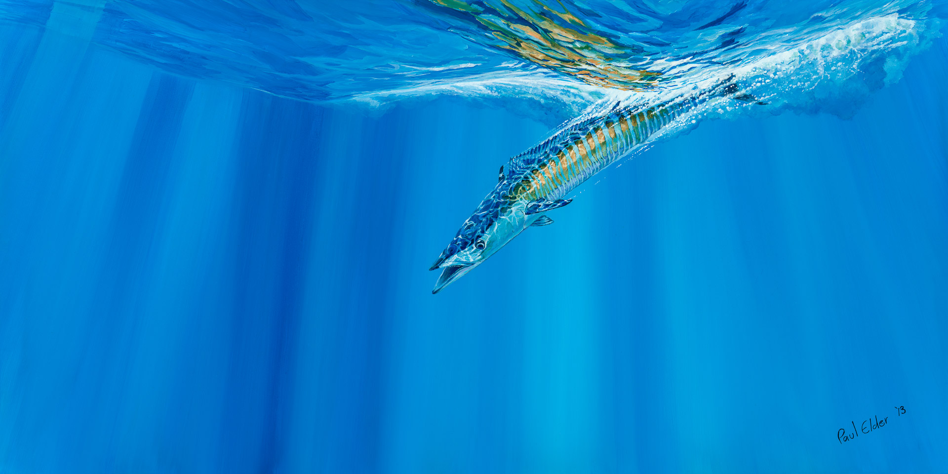 Art Print - Wahoo LARGE