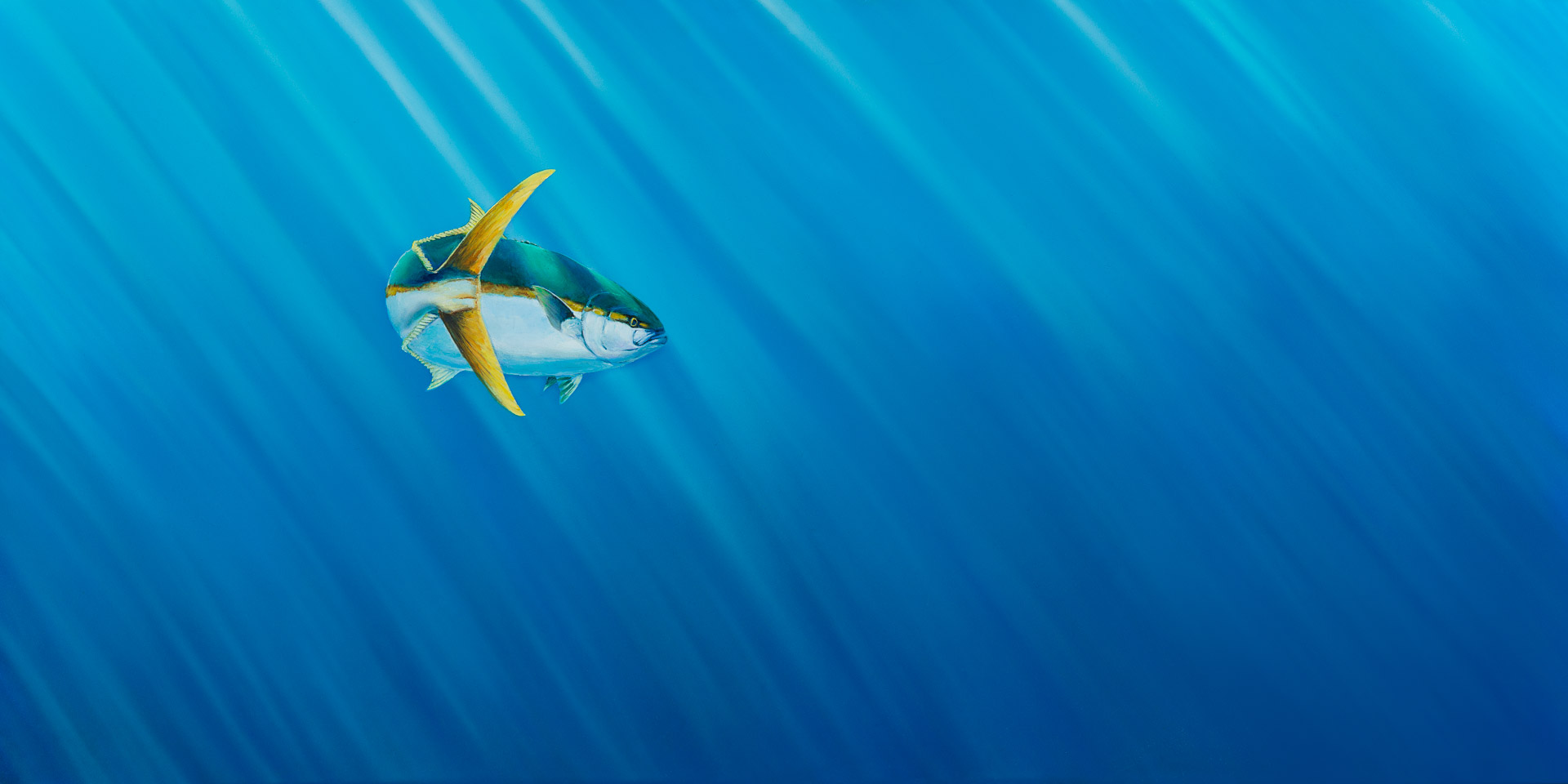 yellowtail painting