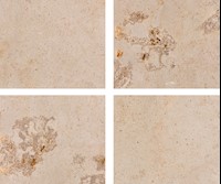 Chantilly Lace Cut Stone MAIN