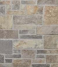 Buff Gray Tailored Blend MAIN