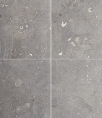 Fossil Spire Cut Stone MAIN