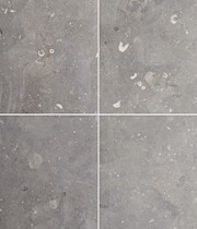 Fossil Spire Cut Stone THUMBNAIL