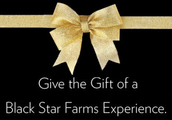 Gift Card LARGE
