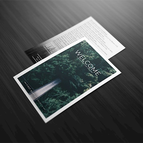 Forest Welcome MAIN