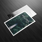 Forest Welcome THUMBNAIL